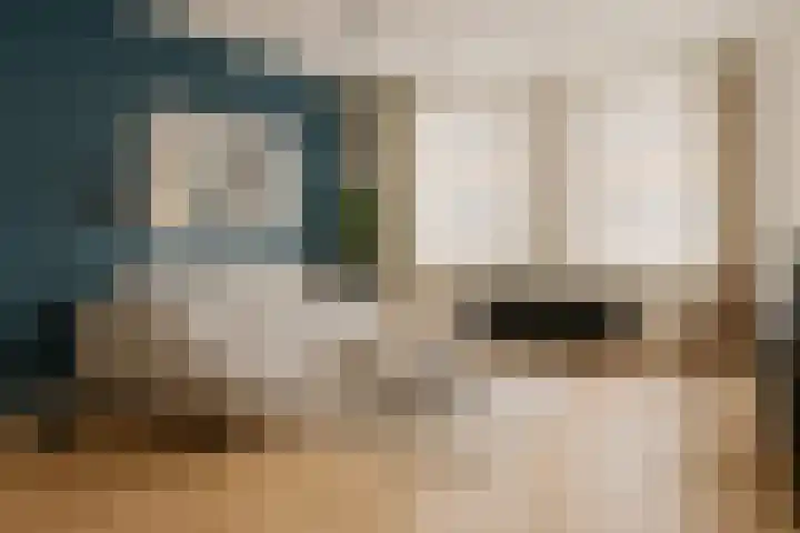 Nieuwstraat 17 Genemuiden thumbnail 17