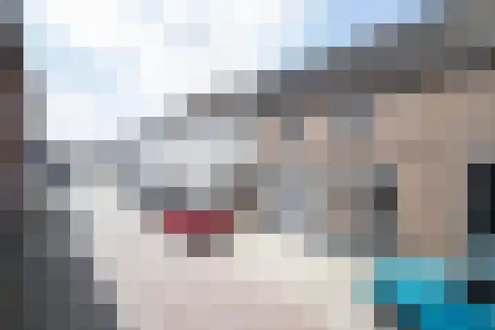 Nieuwstraat 17 Genemuiden thumbnail 5
