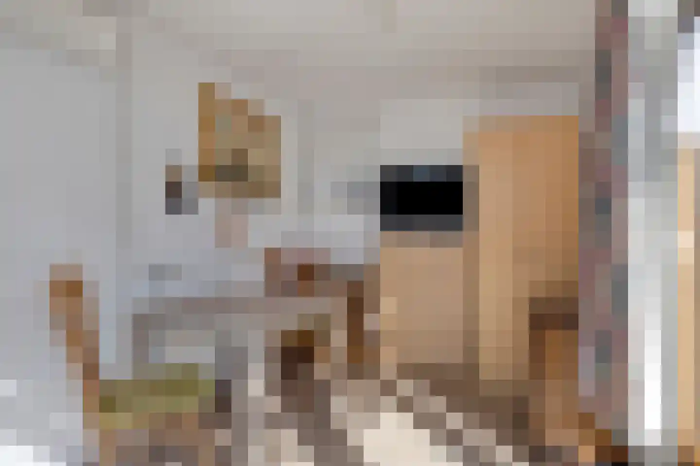 Nieuwstraat 17 Kamperland thumbnail 11