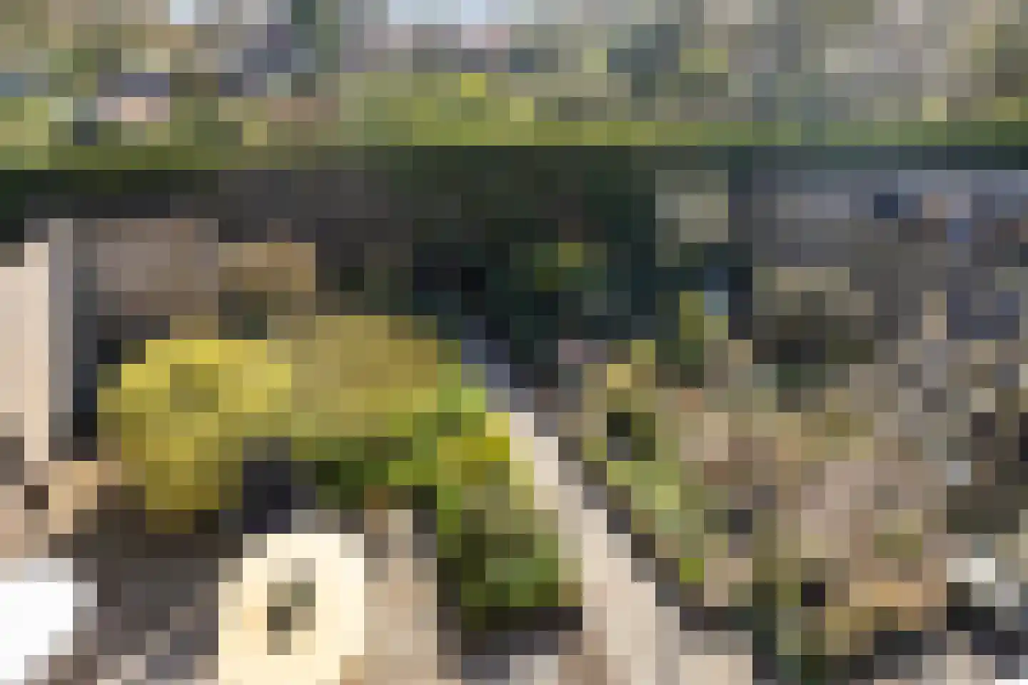 Nieuwstraat 17 Kamperland thumbnail 24