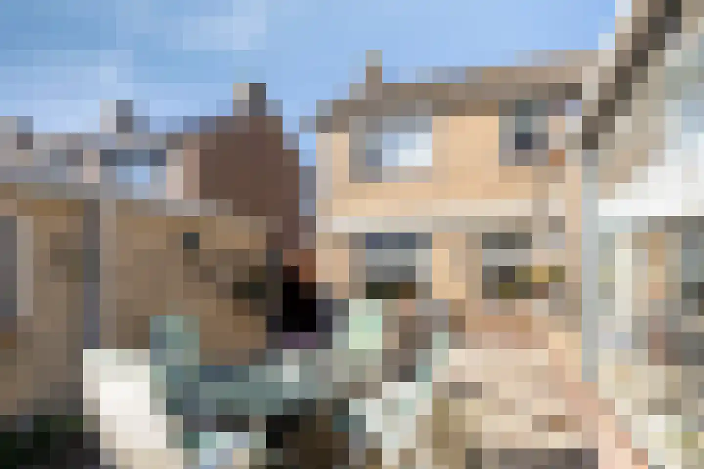 Nieuwstraat 17 Kamperland thumbnail 30