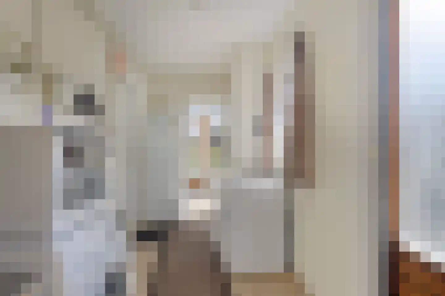 Nieuwstraat 17 Kamperland thumbnail 8