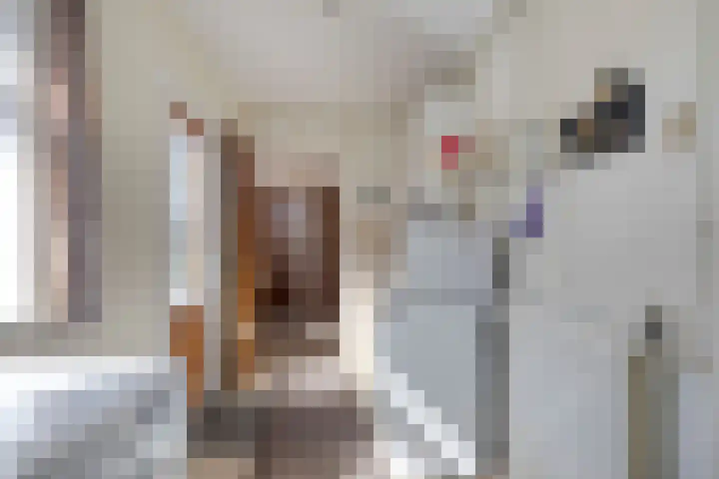 Nieuwstraat 17 Kamperland thumbnail 9