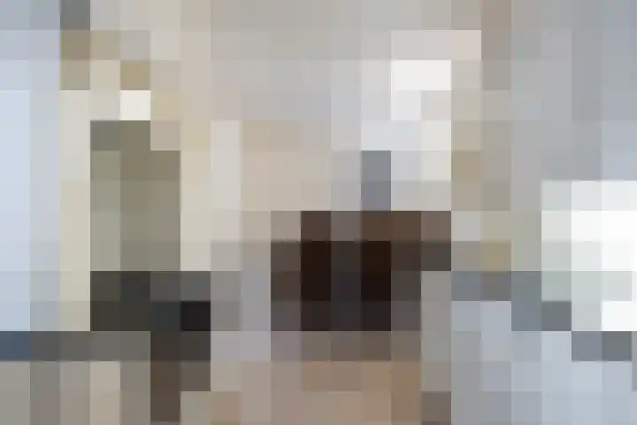 Nieuwstraat 17 Noordhorn thumbnail 12