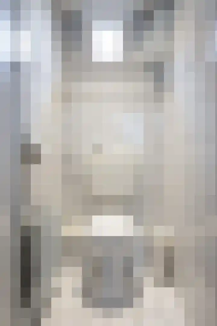 Nieuwstraat 17 Noordhorn thumbnail 20