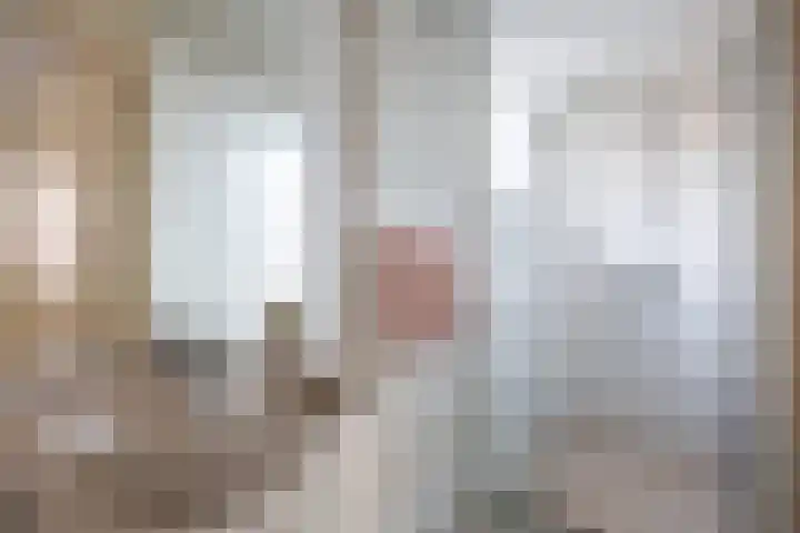 Nieuwstraat 17 Noordhorn thumbnail 21