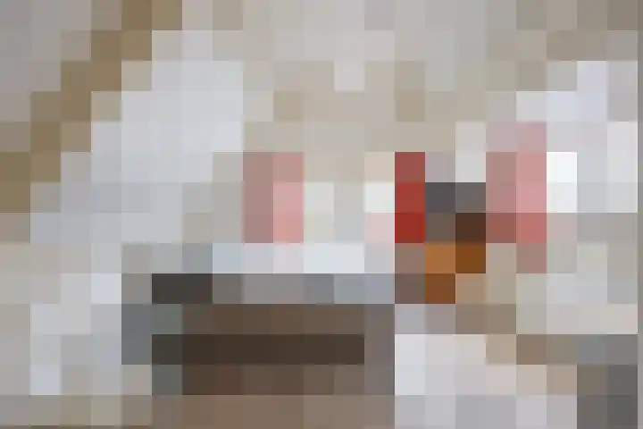 Nieuwstraat 17 Noordhorn thumbnail 25