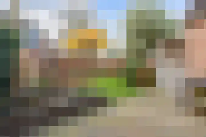 Nieuwstraat 17 Noordhorn thumbnail 37
