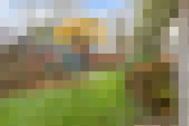 Nieuwstraat 17 Noordhorn thumbnail 38