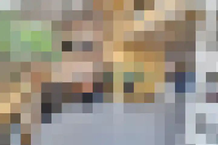 Nieuwstraat 17 Wijk bij Duurstede thumbnail 15