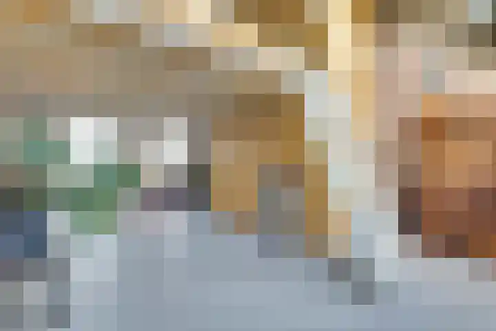 Nieuwstraat 17 Wijk bij Duurstede thumbnail 16