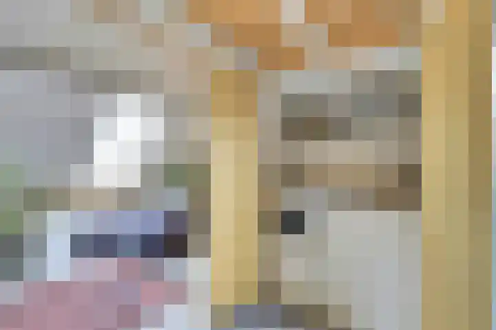 Nieuwstraat 17 Wijk bij Duurstede thumbnail 17