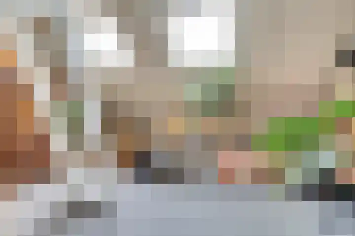 Nieuwstraat 17 Wijk bij Duurstede thumbnail 19