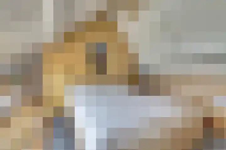 Nieuwstraat 17 Wijk bij Duurstede thumbnail 23