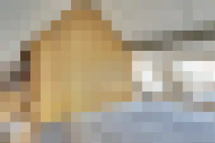Nieuwstraat 17 Wijk bij Duurstede thumbnail 24
