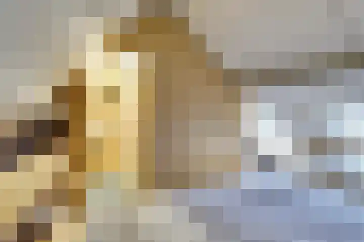 Nieuwstraat 17 Wijk bij Duurstede thumbnail 25