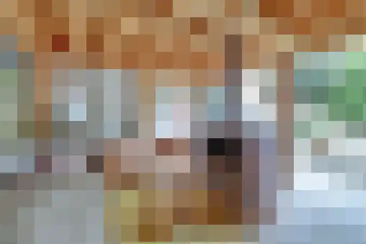 Nieuwstraat 17 Wijk bij Duurstede thumbnail 33