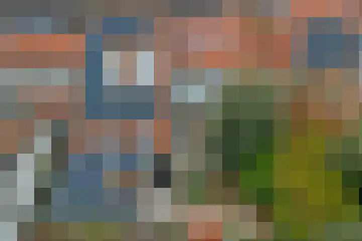 Nieuwstraat 17 Wijk bij Duurstede thumbnail 41