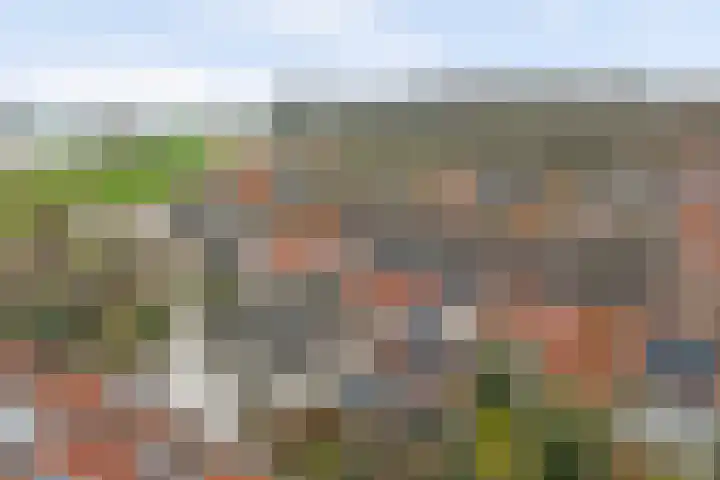 Nieuwstraat 17 Wijk bij Duurstede thumbnail 42