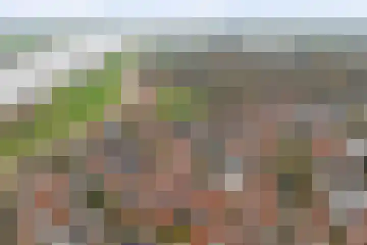 Nieuwstraat 17 Wijk bij Duurstede thumbnail 46