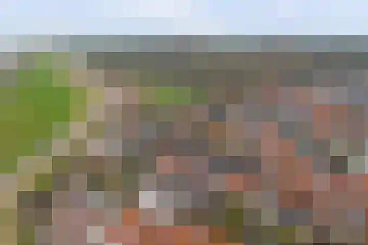 Nieuwstraat 17 Wijk bij Duurstede thumbnail 47