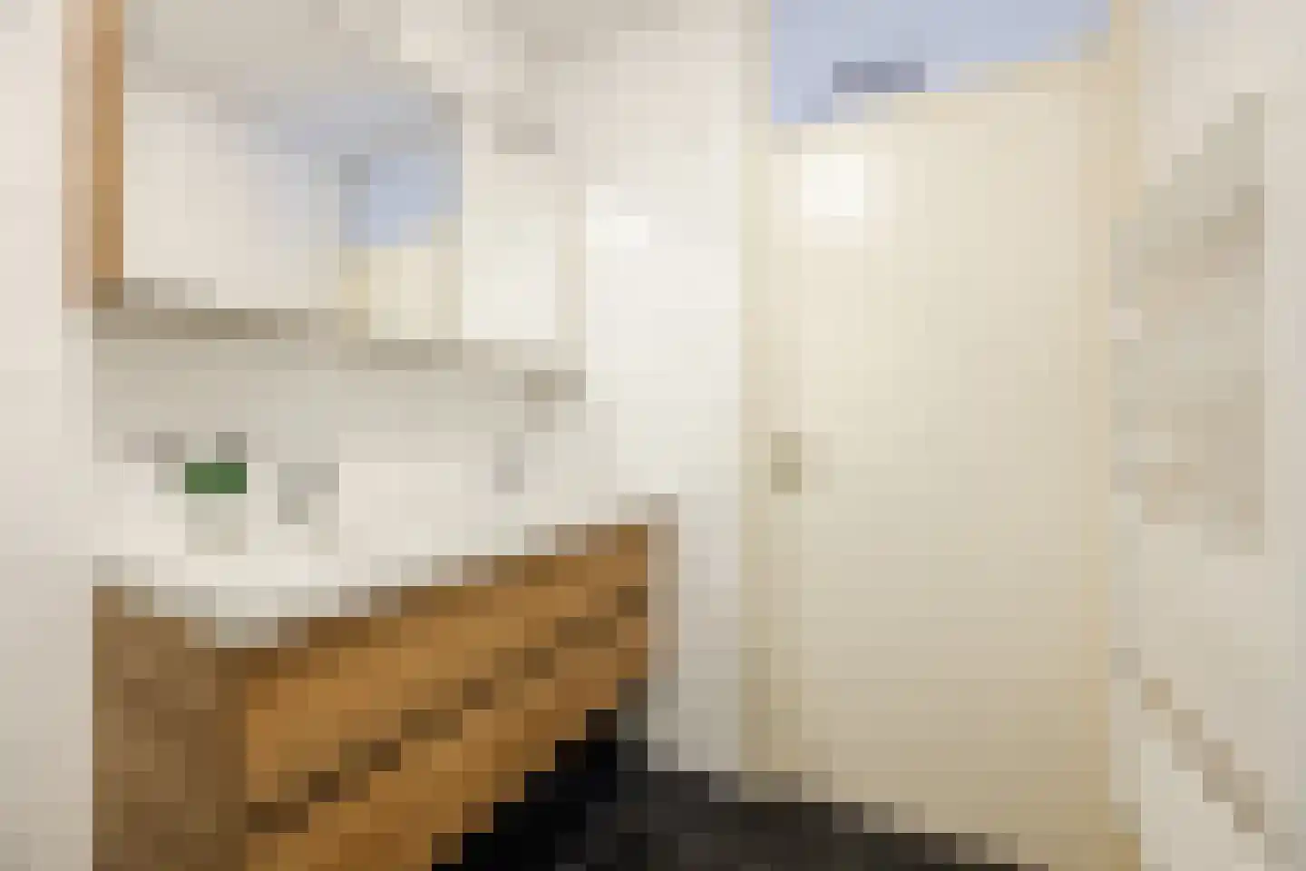Nieuwstraat 176 Rotterdam thumbnail 19