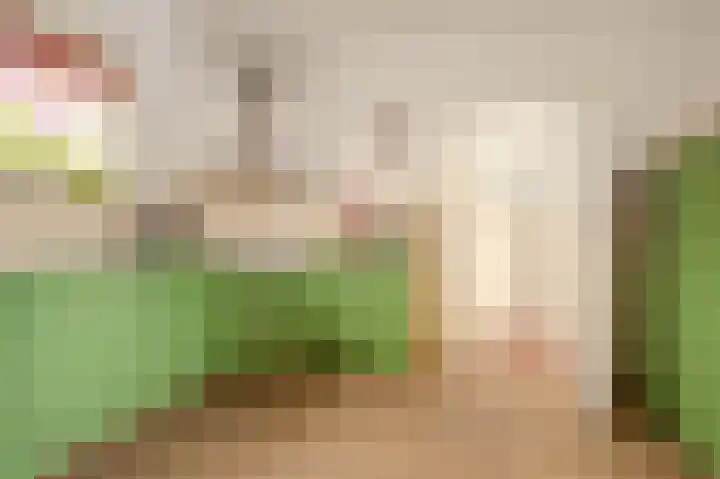 Nieuwstraat 18 Beegden thumbnail 16