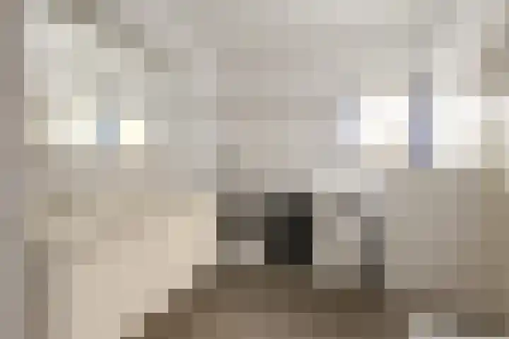 Nieuwstraat 18 Beegden thumbnail 21