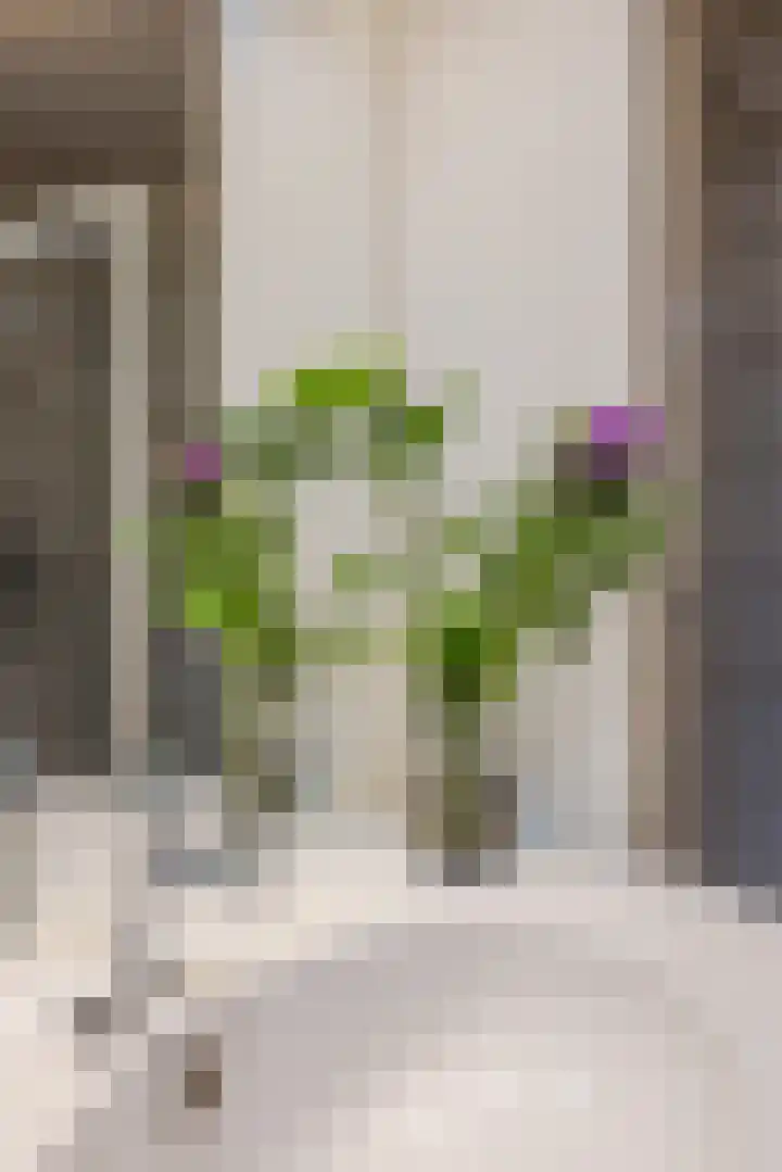 Nieuwstraat 18 Bodegraven thumbnail 31
