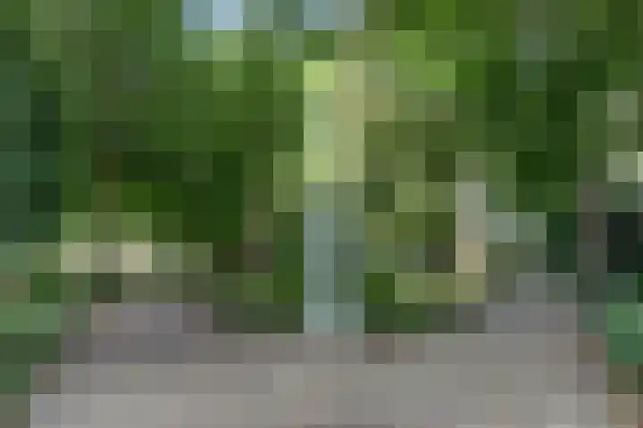 Nieuwstraat 18 Gilze thumbnail 10