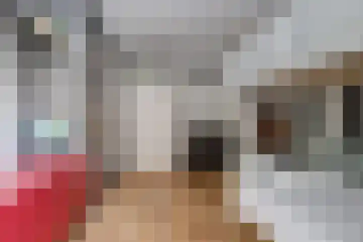 Nieuwstraat 18 Gilze thumbnail 40