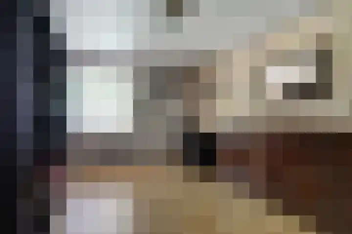 Nieuwstraat 18 Gilze thumbnail 41