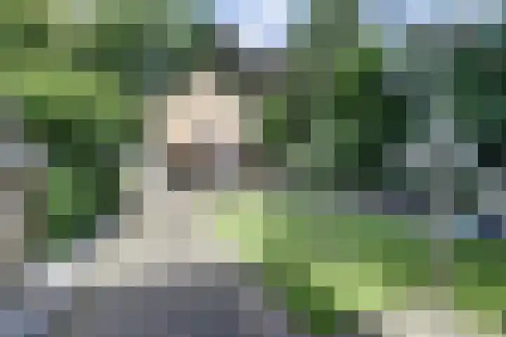 Nieuwstraat 18 Gilze thumbnail 47