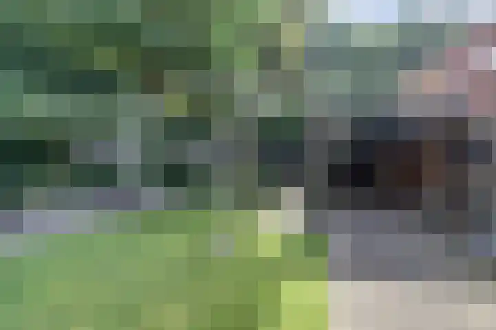 Nieuwstraat 18 Gilze thumbnail 49