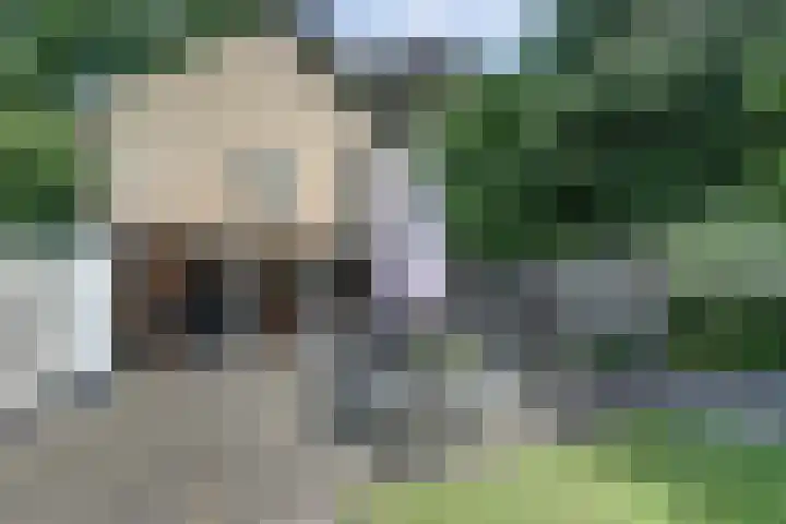 Nieuwstraat 18 Gilze thumbnail 51