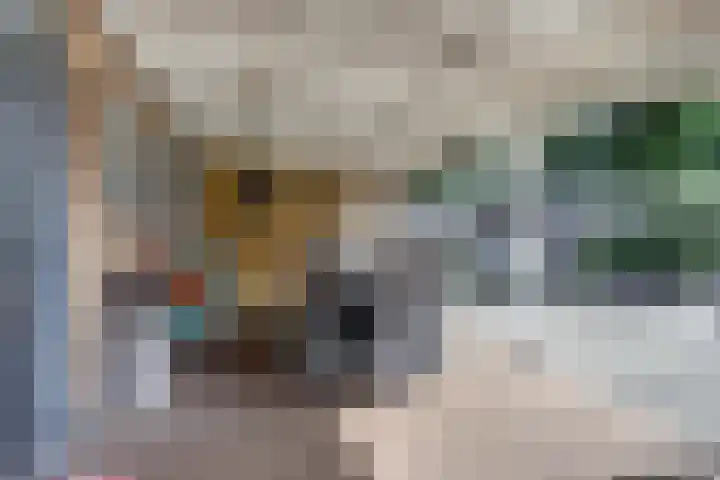 Nieuwstraat 18 Gilze thumbnail 53