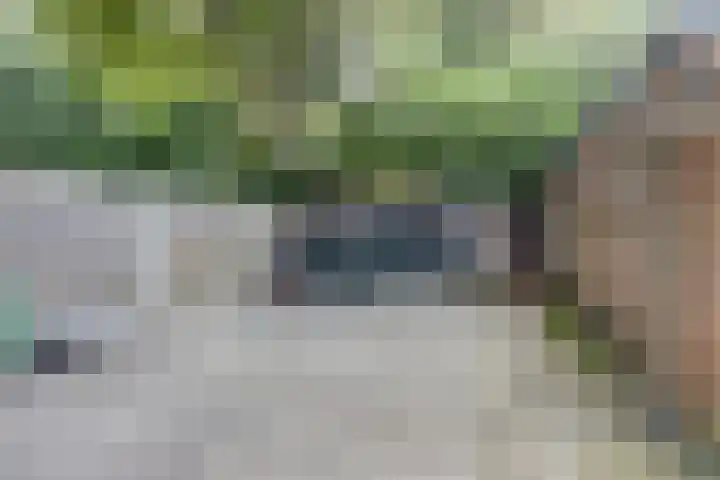 Nieuwstraat 18 Gilze thumbnail 55