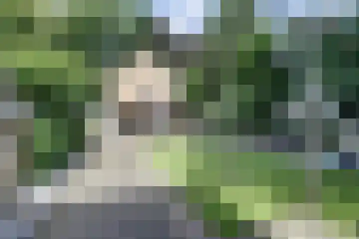 Nieuwstraat 18 Gilze thumbnail 7