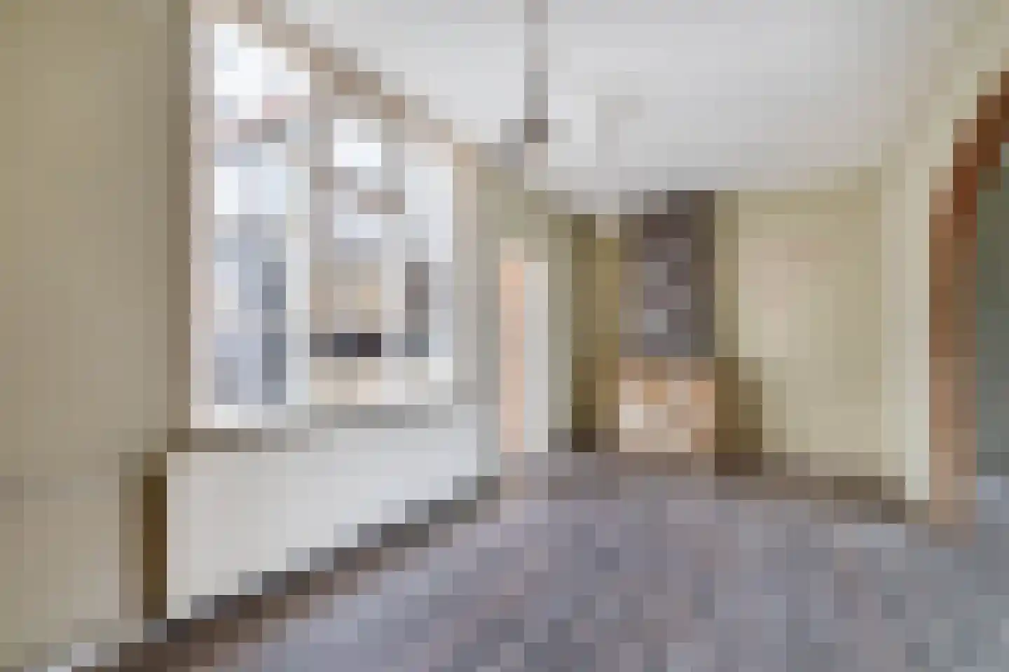 Nieuwstraat 18 IJzendijke thumbnail 11