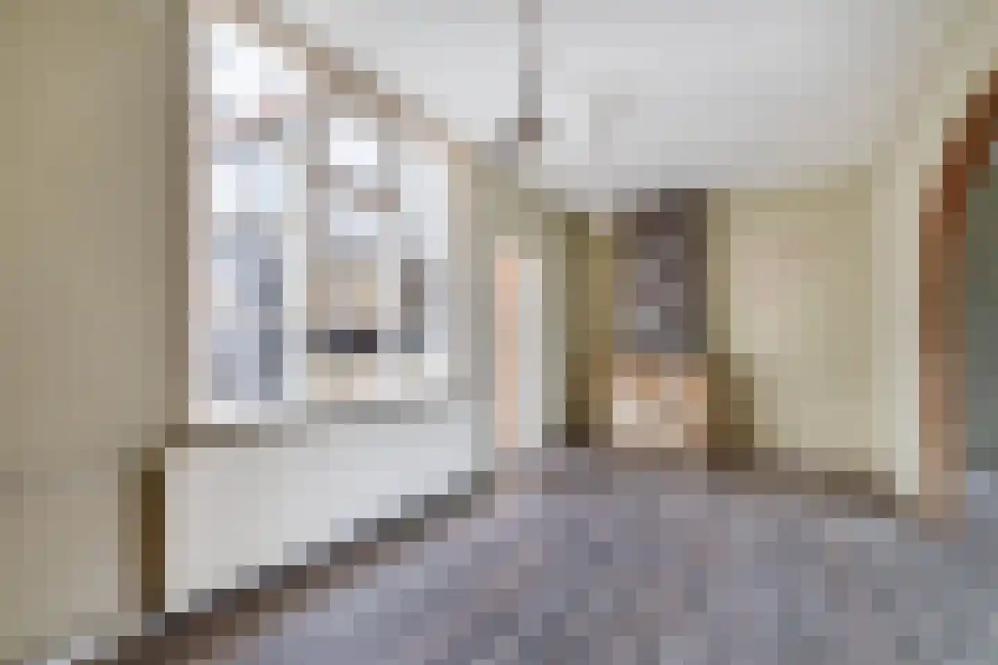 Nieuwstraat 18 IJzendijke thumbnail 11