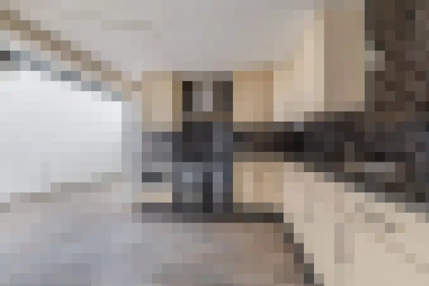 Nieuwstraat 18 IJzendijke thumbnail 16