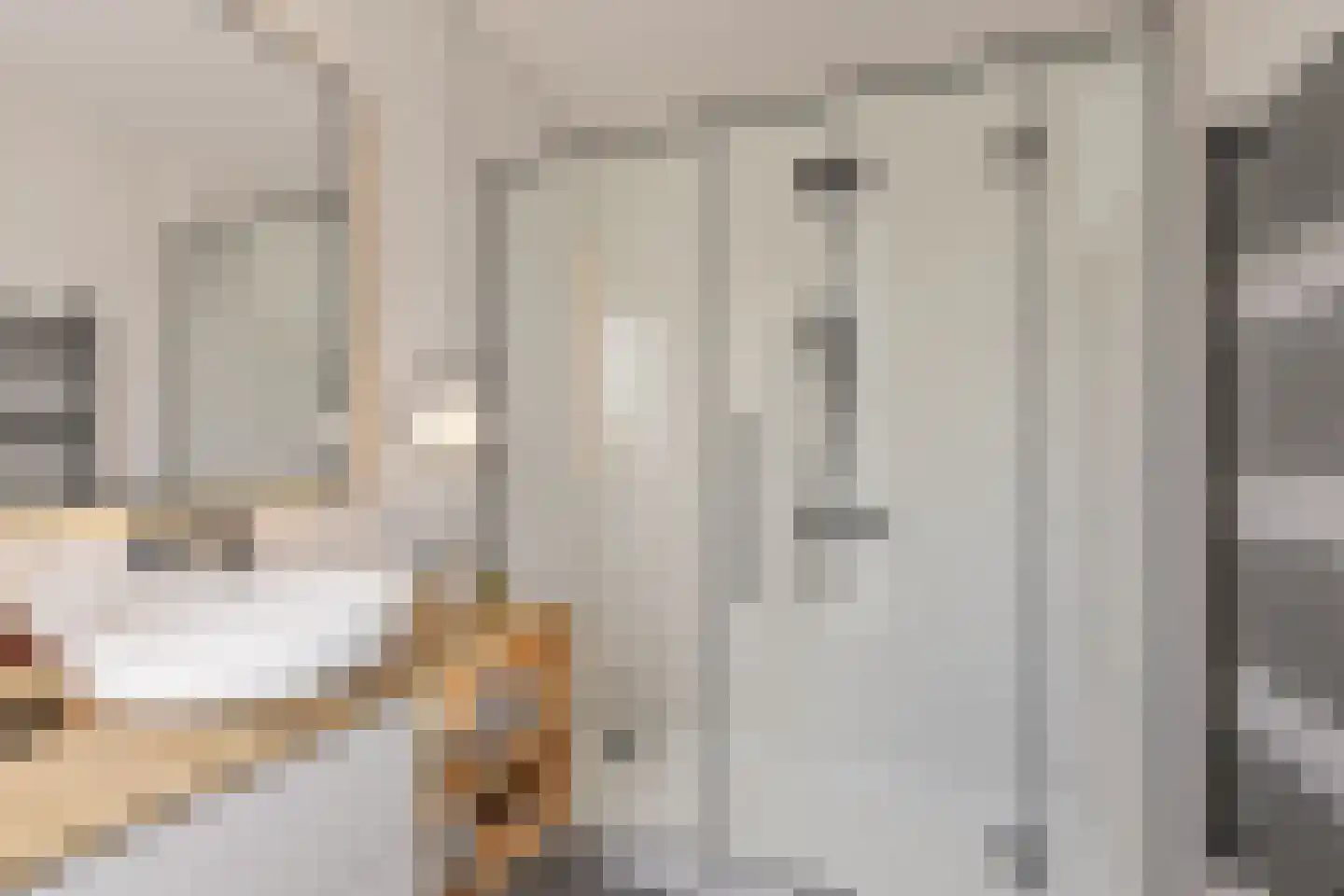 Nieuwstraat 18 IJzendijke thumbnail 25