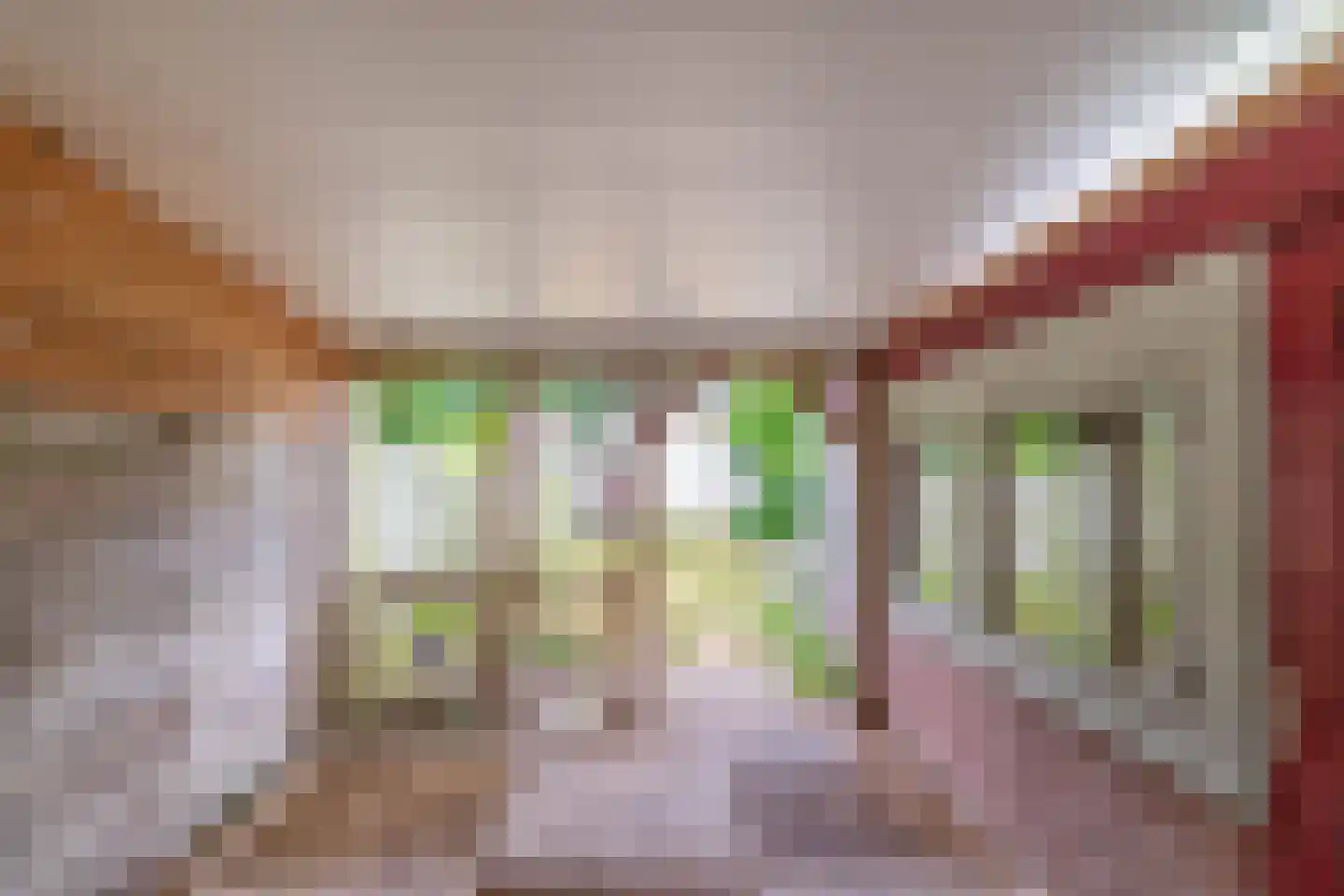 Nieuwstraat 18 IJzendijke thumbnail 26