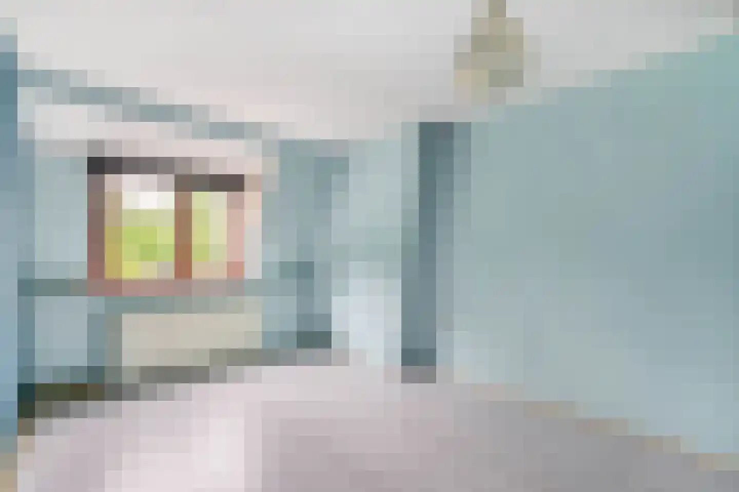 Nieuwstraat 18 IJzendijke thumbnail 29