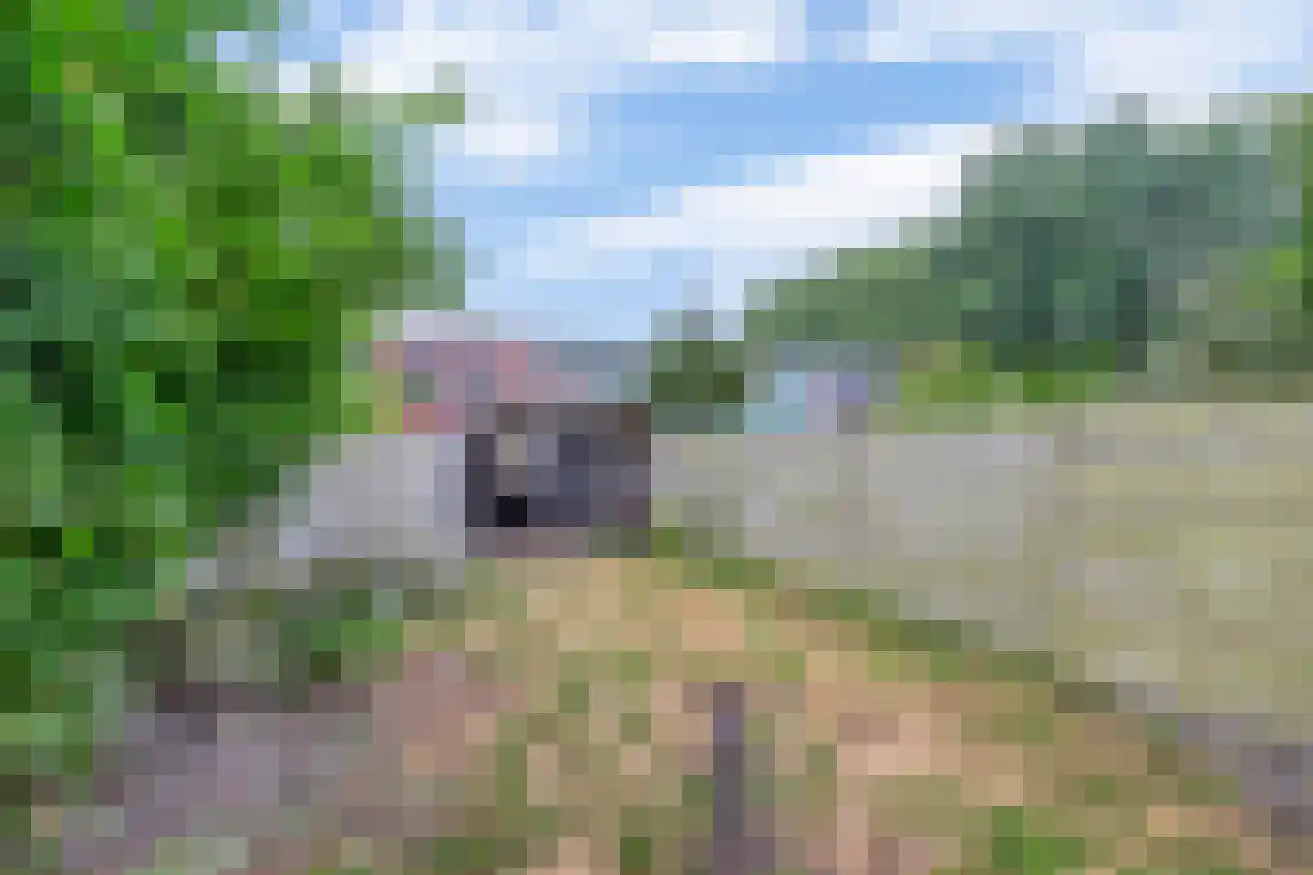 Nieuwstraat 18 IJzendijke thumbnail 33