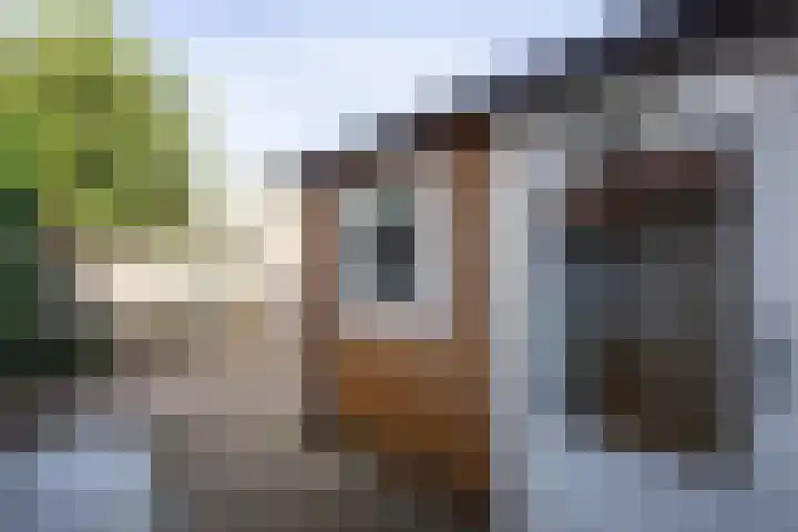 Nieuwstraat 18 Katwijk thumbnail 19