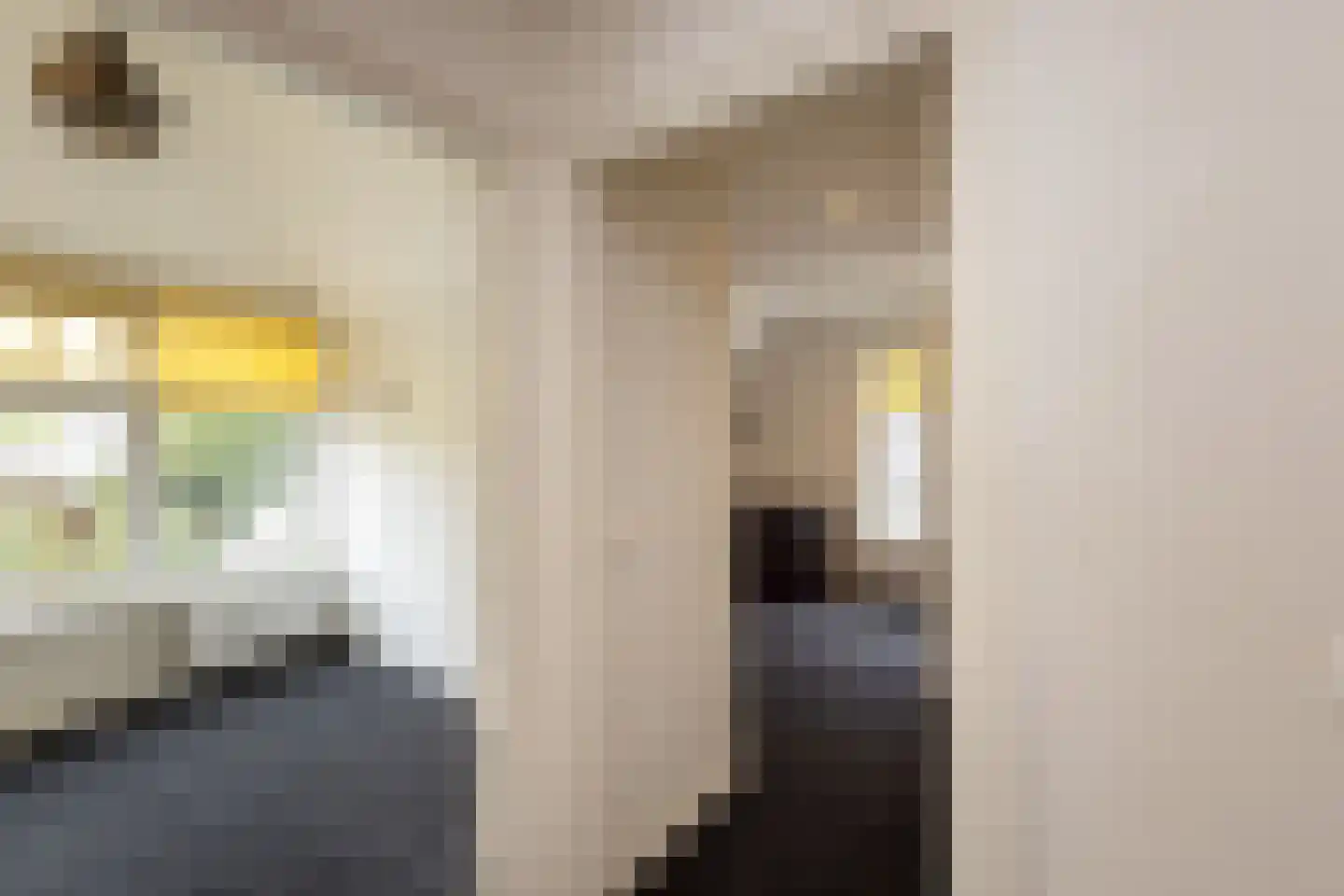 Nieuwstraat 18 Neede thumbnail 21
