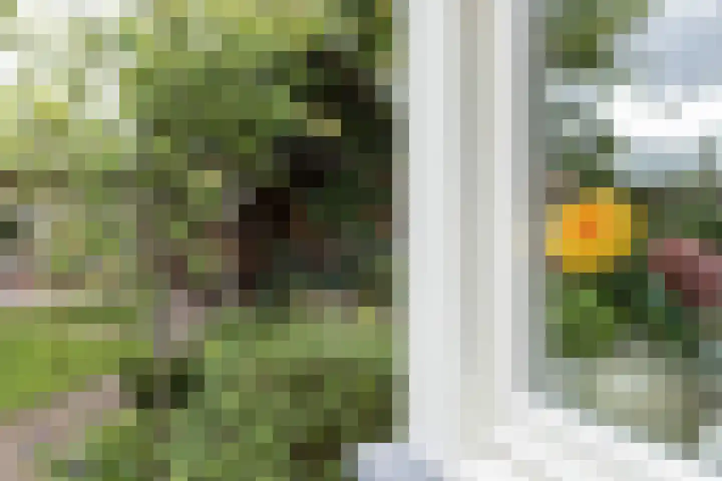 Nieuwstraat 18 Neede thumbnail 33