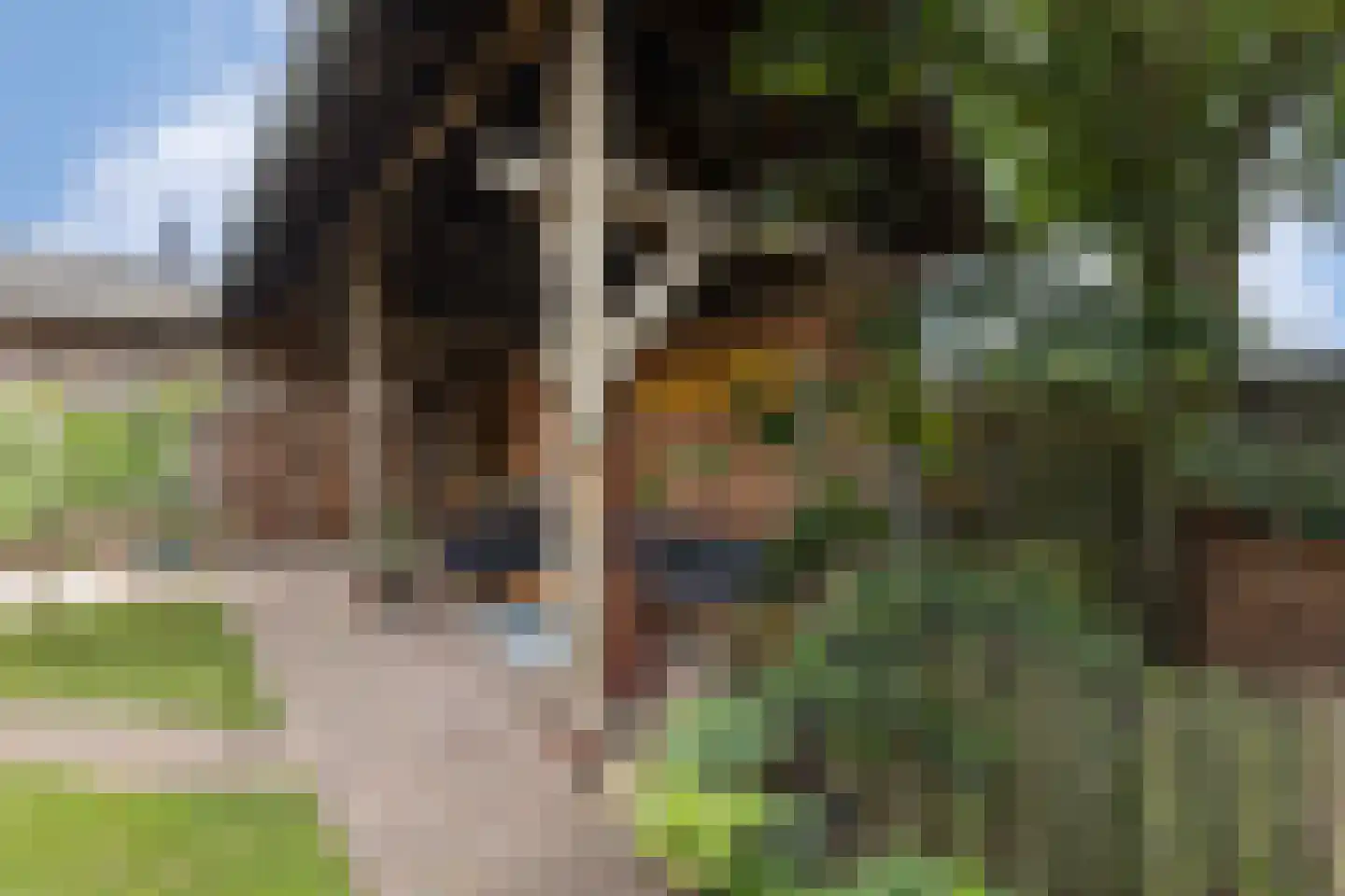 Nieuwstraat 18 Neede thumbnail 35