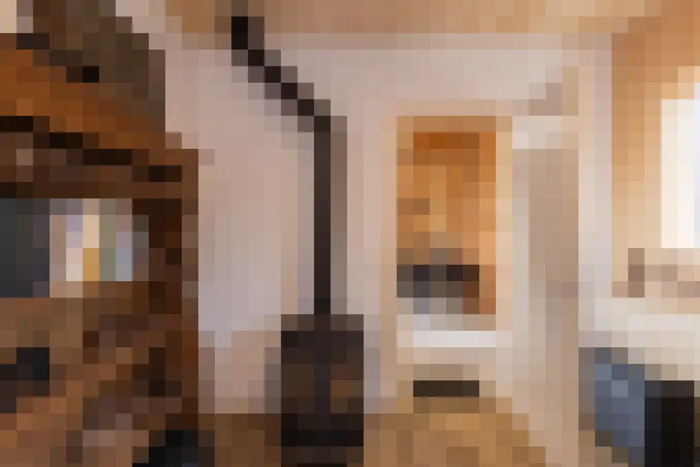 Nieuwstraat 18 Neede thumbnail 42